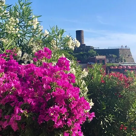 Family Groups Jsuite Sea View